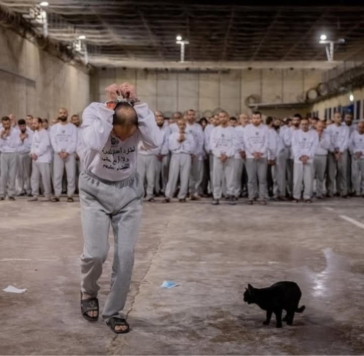 1adf4856-63a2-44eb-bf31-c082843d7d4a