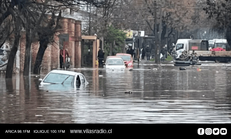 Grafica-Para-Web-Vilas-2023-08-23T131102.870