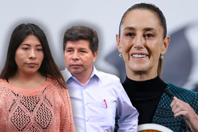 mexico-apoya-asilo-chavez-discriminado-castillo-800x533